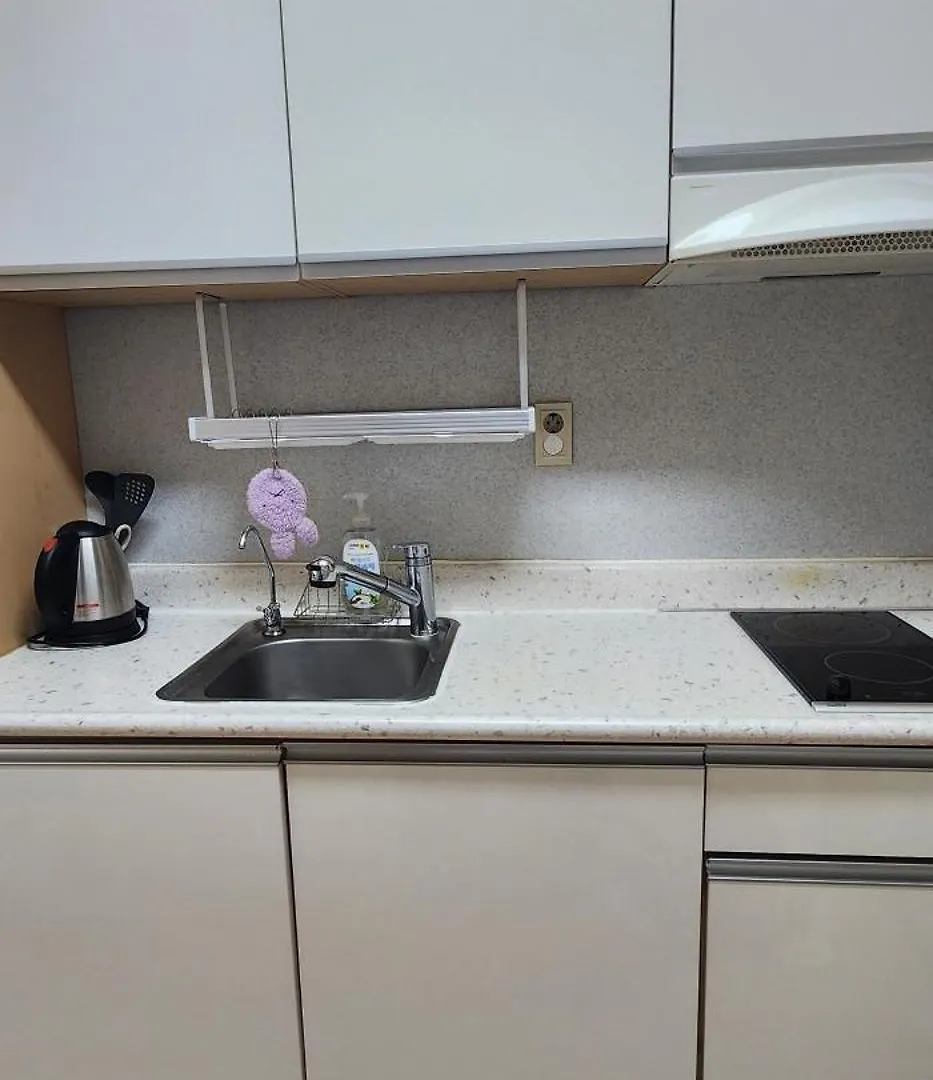 Soons House Apartment Seoul South Korea